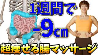 【１回で変わる】カンタンなのに１週間で−９㎝痩せるとヒルナンデスで話題になった腸マッサージ!!むくみ腸・便秘改善で翌朝お腹が凹む！