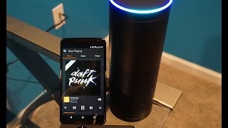 Amazon Echo and Alexa Easter Eggs