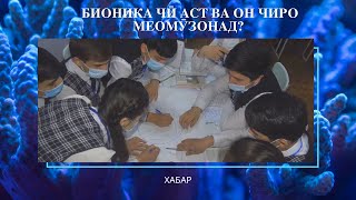 БИОНИКА ЧӢ АСТ ВА ОН ЧИРО МЕОМӮЗОНАД?