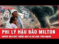 Thuyết âm mưu xuất hiện khi bão Milton đổ bộ, nhiều nhà khí tượng học bị đe dọa tính mạng | Thời sự