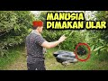 D4T4NGI GURUNY4 DUQQUN SANTET PUNYA BNY4K PENG1KUT || USTADZ NASIHIN || sedan lilin