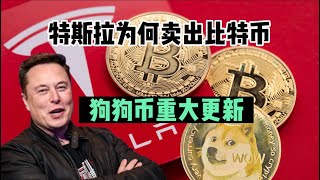 特斯拉为何卖掉大部分比特币，狗狗币重大更新，马斯克称一个狗狗币也没卖