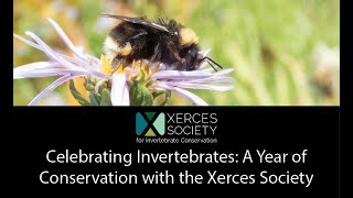 Celebrating Invertebrates: A Year of Conservation with the Xerces Society