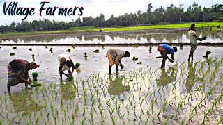 Bangladesh village life documentary | গ্রামীণ জিবন | My first vlog 2022 | হাল  চাষ Part-12