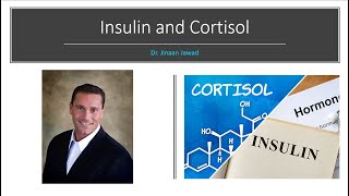 What Is The Connection Between Cortisol and Insulin?