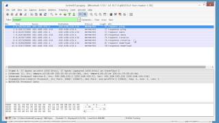 Packet Class: Wireshark - Lua Protocol Dissectors