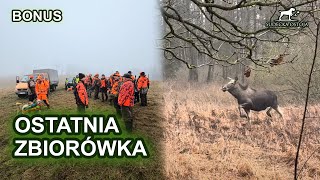 Polowanie zbiorowe na koniec sezonu - SUDECKA OSTOJA BONUS Driven Hunt wildboars