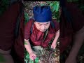 ENTERING A JUNGLE THAT IS SPECIFIC, Memasuki hutan rimba larangan