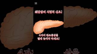 췌장이 보내는 SOS 신호! 4가지 전조증상을 지금 즉시 확인하세요!