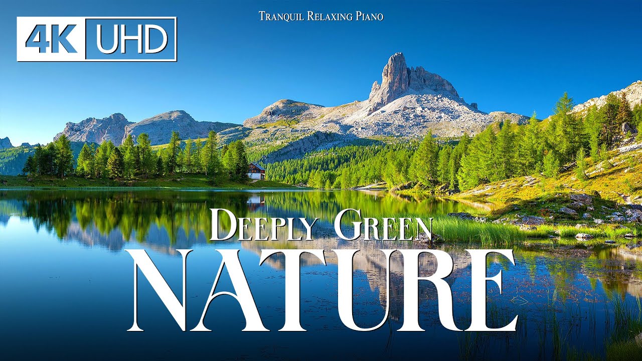 Beautiful Relaxing Piano Deeply Green Nature 4k Uhd With Wonderful