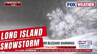 Blizzard-Like Conditions Cause Low Visibility In Long Island