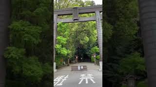 20210424 #日本の美しい光景🇯🇵 #高千穂神社①⛩🙏💝🎖☀️ #宮崎県高千穂町に鎮座🗾🌄 #高千穂郷八十八社の総杜🏵#Shorts #JAPAN🇯🇵