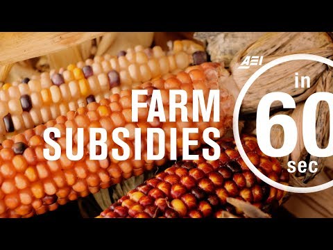 Farm subsidies: How effective are they? | IN 60 SECONDS Farm subsidies: How effective are they? | IN 60 SECONDS