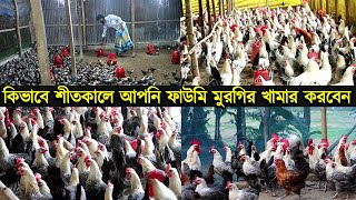 কিভাবে শীতকালে আপনি ফাউমি মুরগির খামার করবেন।শীতকালে মুরগি পালন।Fowomi morgi