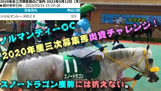 【一口馬主】底辺一口邁進中第七十三話～ノルマンディーOC2020年産三次募集馬出資申込チャレンジ！-スノードラゴン産駒には抗えない-～【ノルマンディーOC】