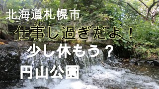 【公園レビュー】北海道札幌市の円山公園です。札幌を代表する桜の名所でお花見客でにぎわいます。