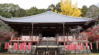 京都市 伏見区　醍醐寺