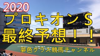 【最終予想】2020プロキオンステークス！今年は阪神高速ダート決戦？この馬のインダメ切れ味に期待。