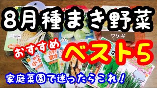 【家庭菜園】8月種まき野菜　おすすめベスト5