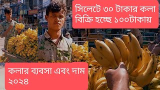 সিলেটে ৩০ টাকার কলা ১০০টাকা। কলার ব্যবসা এবং দাম ২০২৪. Kola price in market.