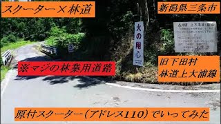 林道上大浦線（旧下田村）にスクーターで行ってみた　～スクーター×林道　アドレス１１０で行く林道ソロツー～