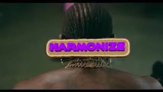 Harmonize_ niushamba  (official video)  "KM"