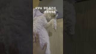 사장님 잠은 집에가서 주무셔야죠#shorts