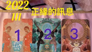 加雅希塔罗占卜-2022_111年的正缘脱单讯息？类型_个性何时会出现 #情感塔罗 #塔罗牌 #礼物 #魔法