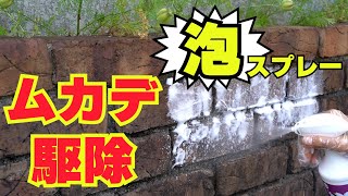 ムカデ駆除 ムカデ対策！ムカデを泡で駆除 スプレーするだけ簡単ムカデ対策 泡になる殺虫スプレー ムカデ泡deKILL！【ムカデ駆除】【ムカデ侵入防止】