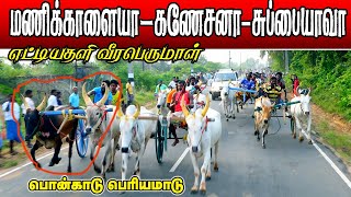 பெரியமாடு பொன்காடு மாவடுகுறிச்சி 01.05.2022 Periyamadu peravurani krish rekla race