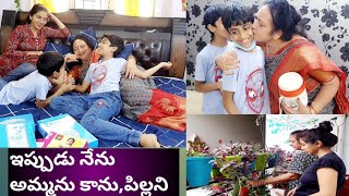 ఇప్పుడు నేను అమ్మను కాను, పిల్లని|అమ్మమ్మ మనవళ్ల ముచ్చట్లు|Natural Vlog with Amma