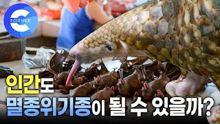 인간도 멸종위기종이 될 수 있을까? | 전염병 | 바이러스 | 대멸종 | 기후 변화