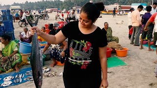 Reupload: Malvan Fish Market