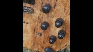 Carvin SH275 Piezo and Synth Demo