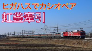 【虹釜牽引】激パの快晴ヒガハスをEF81-95牽引のカシオペア紀行が杜の都を目指して下る！