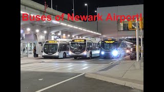 NeoplanDude | S9EP21: Buses of the Newark Liberty International Airport!