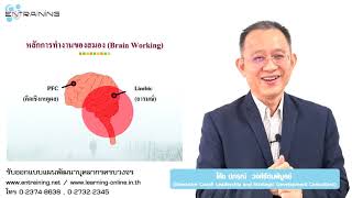 หลักการทำงานของสมอง Brain Working 【Competency Conceptual】