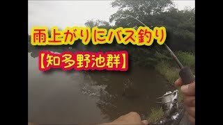 バス釣りに出撃　雨上がりの奥杉谷池＆名無しの池　ブラックバス実釣