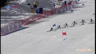 Mathieu Faivre  GS Ski Championship Cortina 2021