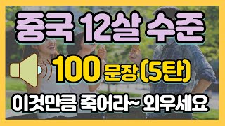 기초중국어회화 #25 | 중국 12살 수준 100문장 (5탄) | 중국어 자면서도 들어요 | 이것만 죽어라🎙