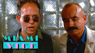 USDA certified P.I.G. | Miami Vice