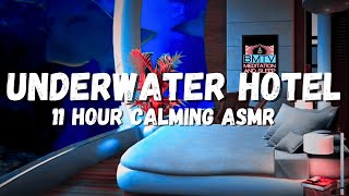 Fish tank video, Relaxation Hotel underwater asmr, aquarium ambience
