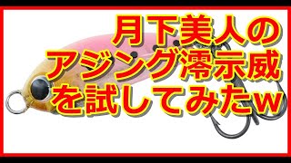 【アジング】月下美人のアジング澪示威２０Ｓを試してみた【メバリング】