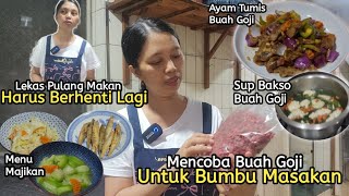 Sudah Kadung Berbunga2 Terpaksa di Hentikan Paksa⁉️ Kegiatan TKI memasak Untuk Majikan