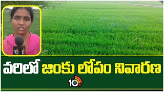 వరిలో జింకు లోపం నివారణ | zinc Deficiency in Paddy | Varilo Zinc Lopam Nivarana | Matti Manishi