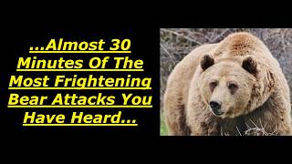 Scary Bear Attacks: Deep Dive Into Almost Thirty Minutes Of Bear Attacks