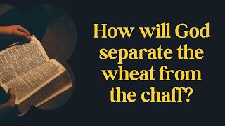 What does “separate the wheat from the chaff” mean in the Bible?