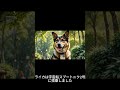 犬の世界の雑学2 shorts