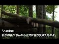 【スカッとする話】10年間介護した義父の葬儀が終わった瞬間、夫が浮気を暴露。夫「彼女と住むから母も頼む」私「では全員出て行ってください」夫と義母「え？」実は…