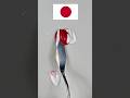 What do mixed Japan flag make? #shorts #colors